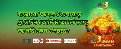 সাপ্তাহিক ভিআইপি ক্যাশব্যাক 💎